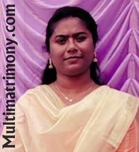 NET176530
